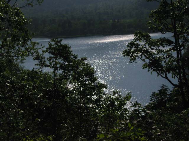 sikotuko 005